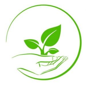 Page Not Found 20 wholistic health shop