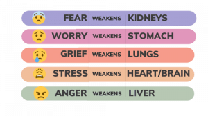 EMOTIONS AND ORGANS CHART