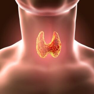 Navigating Thyroid Health Problems: From Thyroid Panels To Root Cause