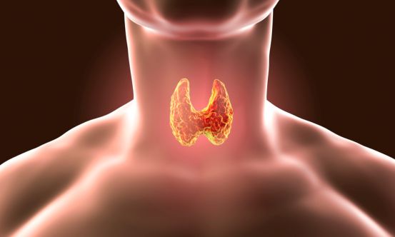 Navigating Thyroid Health Problems: From Thyroid Panels To Root Cause